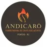 Andicarô Torrefadora de Cafés Especiais logo
