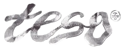 Teso logo