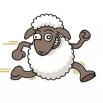 Crazy Sheep Kaffee Manufaktur logo