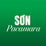 Sơn Pacamara Specialty Coffee logo