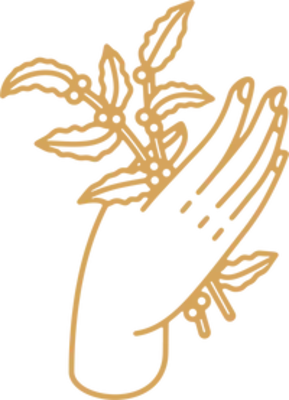 Cult Coffee Roasters logo