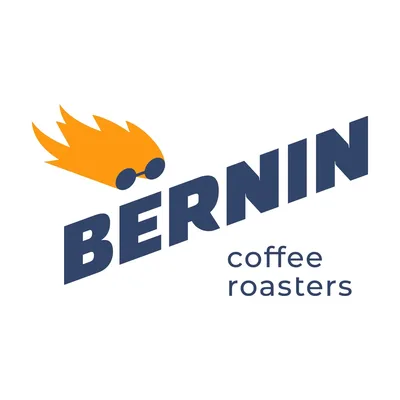 Bernin logo