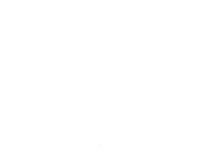 Thunderstruck Coffee Co. logo